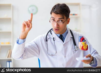 Doctor explaining the heart model