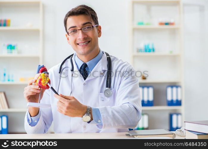 Doctor explaining the heart model