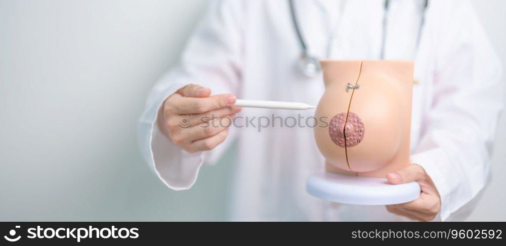 Doctor holding Breast Anatomy model. Breast Augmentation Surgery, October Breast Cancer Awareness month, implant, Diagnosis, Beauty woman enlargement and medical education concept