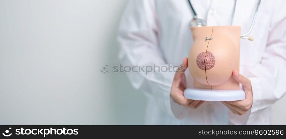doctor holding Breast Anatomy model. Breast Augmentation Surgery, October Breast Cancer Awareness month, Pregnant, Diagnosis, Beauty woman enlargement and medical concept