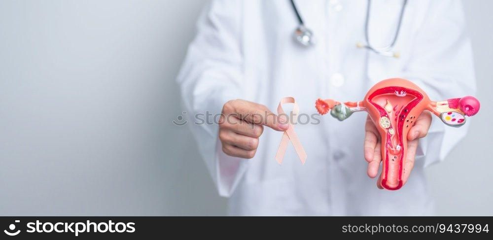 Doctor holding Peach ribbon with Uterus and Ovaries model for September Uterine Cancer Awareness month. Endometriosis, Hysterectomy, Uterine fibroids, Reproductive, Healthcare and World cancer day