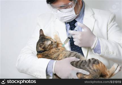 doctor inject medicine into cat