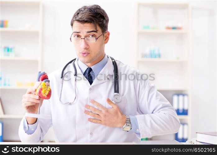 Doctor lecturer explaining the heart model
