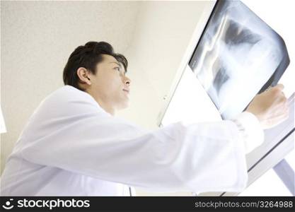 Doctor looking at an x-ray