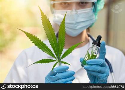 Doctor science with Sativa Cannabis oil extract essential from Marijuana leaves for herbal medical nature plant.