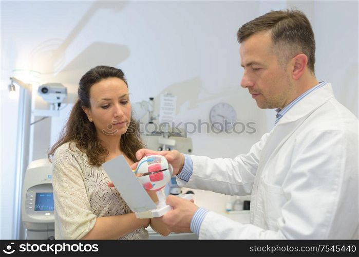 doctor showing eye models to patient