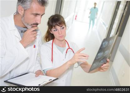 doctor shows a result of x-ray to his colleague