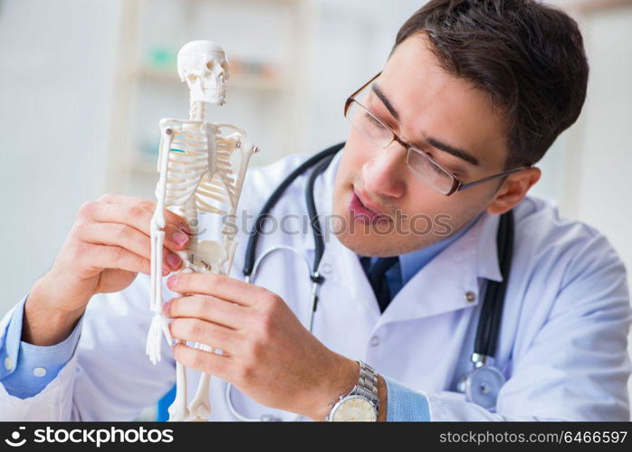 Doctor student studying the bones of skeleton
