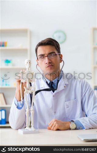 Doctor student studying the bones of skeleton