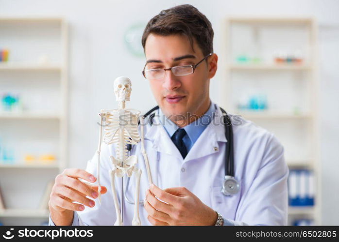 Doctor student studying the bones of skeleton