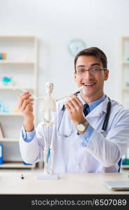 Doctor student studying the bones of skeleton