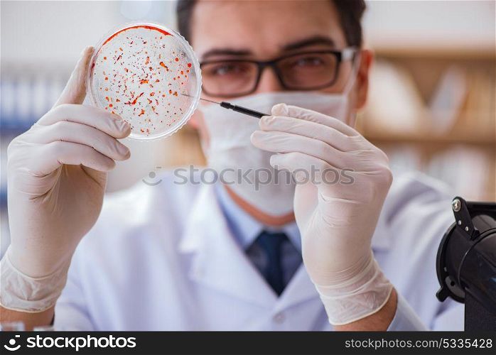 Doctor studying virus bacteria in the lab