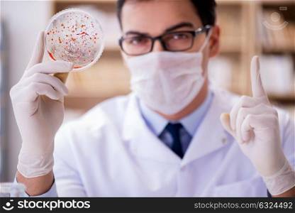 Doctor studying virus bacteria in the lab