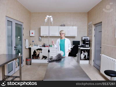 doctor vet woman work at surgery room on ill animal cat and dog giving help and medical care