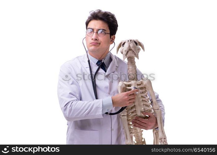 Doctor with dog skeleton isolated on white background