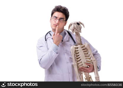 Doctor with dog skeleton isolated on white background