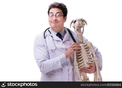 Doctor with dog skeleton isolated on white background