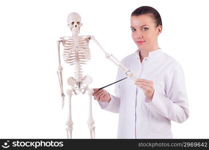 Doctor with skeleton on white