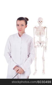 Doctor with skeleton on white