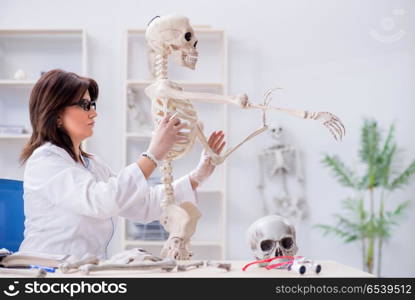 Doctor working in the lab on skeleton