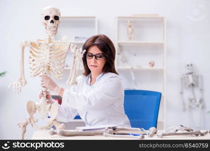 Doctor working in the lab on skeleton