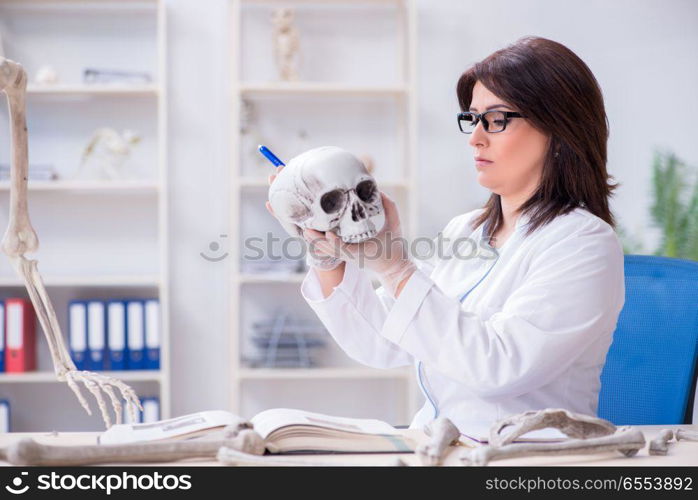 Doctor working in the lab on skeleton