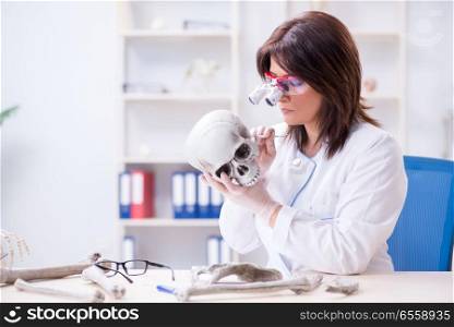 Doctor working in the lab on skeleton
