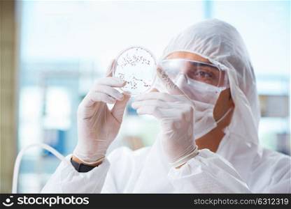 Doctor working on virus in medical lab. The doctor working on virus in medical lab