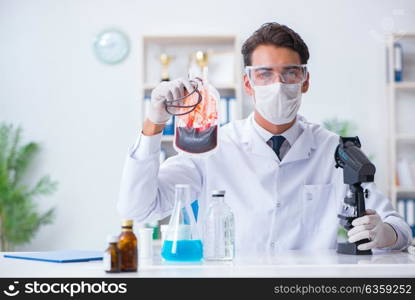 Doctor working with blood samples in hospital clinic lab