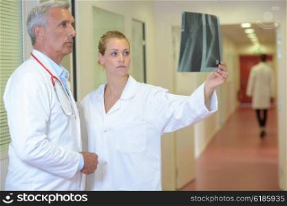 Doctors looking at xray