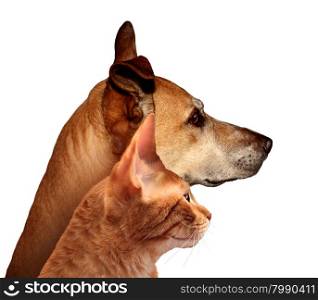 Dog and cat together in a side profile looking in the distance on a white background as a canine and feline friendship couple as a veterinarian and veterinary pet care.