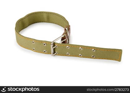 Dog collar isolated on the white background