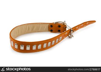 Dog collar isolated on the white background