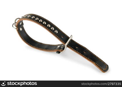 Dog collar isolated on the white background