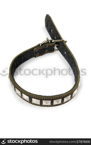 Dog collar isolated on the white background