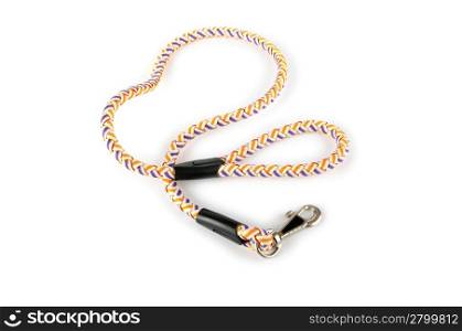 Dog collar isolated on the white background