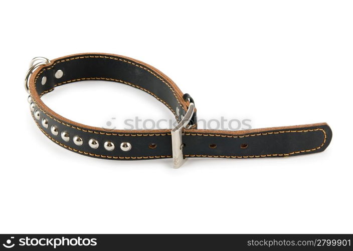 Dog collar isolated on the white background