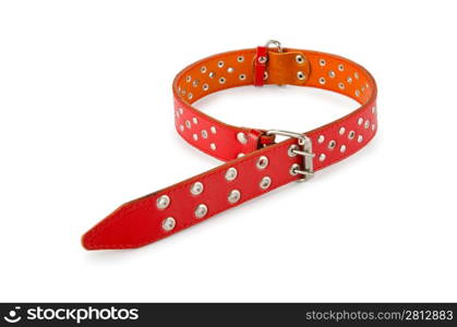 Dog collar isolated on the white background