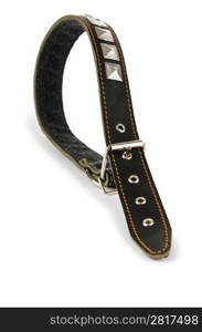 Dog collar isolated on the white background