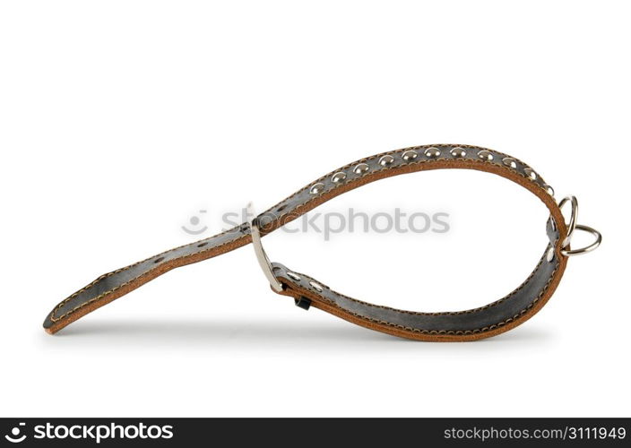 Dog collar isolated on the white background