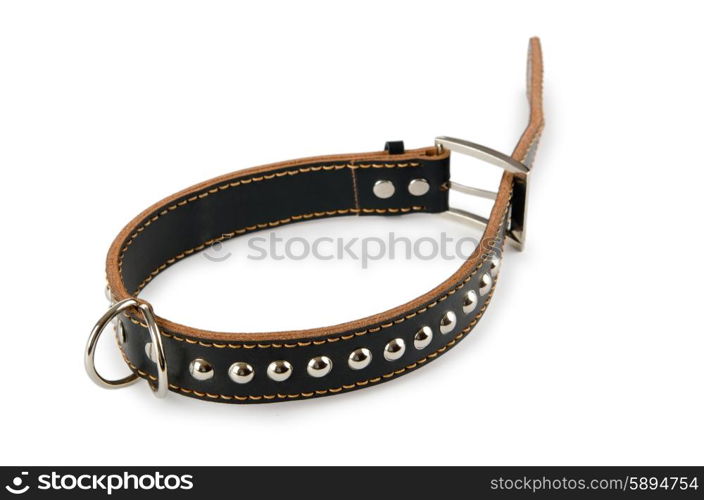 Dog collar isolated on the white background