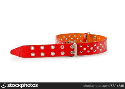 Dog collar isolated on the white background