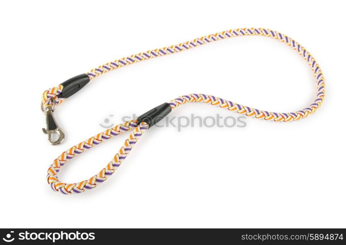 Dog collar isolated on the white background