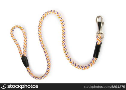 Dog collar isolated on the white background