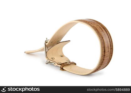 Dog collar isolated on the white background