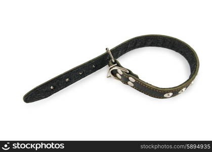 Dog collar isolated on the white background