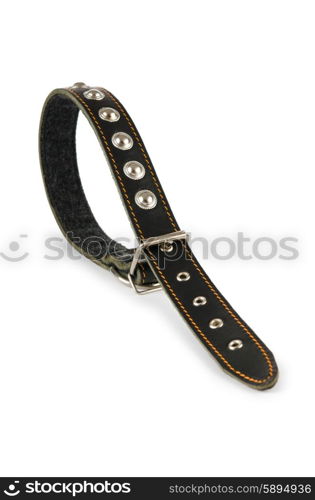 Dog collar isolated on the white background