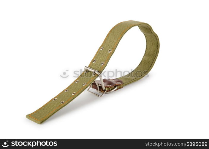 Dog collar isolated on the white background