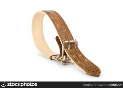 Dog collar isolated on the white background