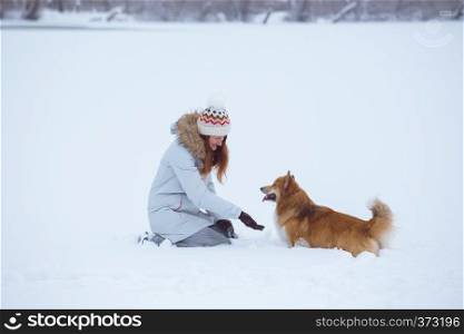 dog corgi fluffy and his owner playing on a winter walk at the outdoor